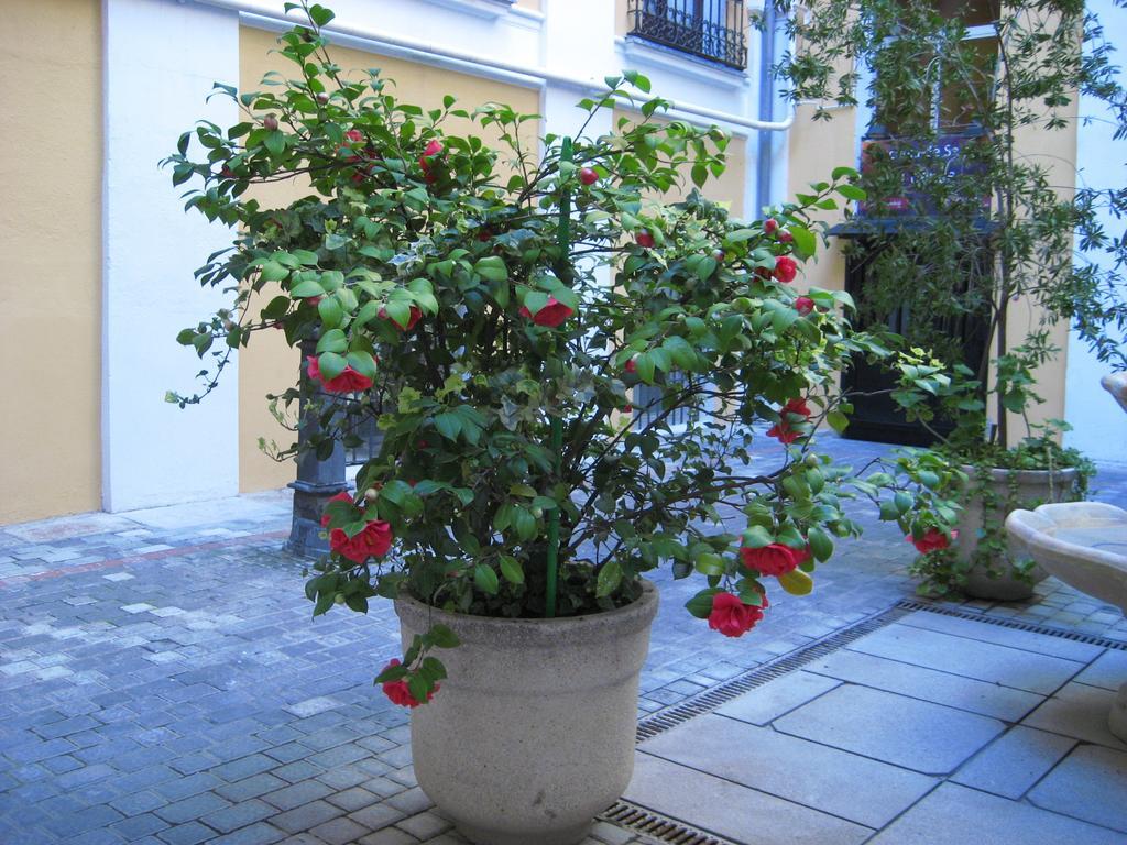 Hostal Huespedes Toledo Madrid Ngoại thất bức ảnh