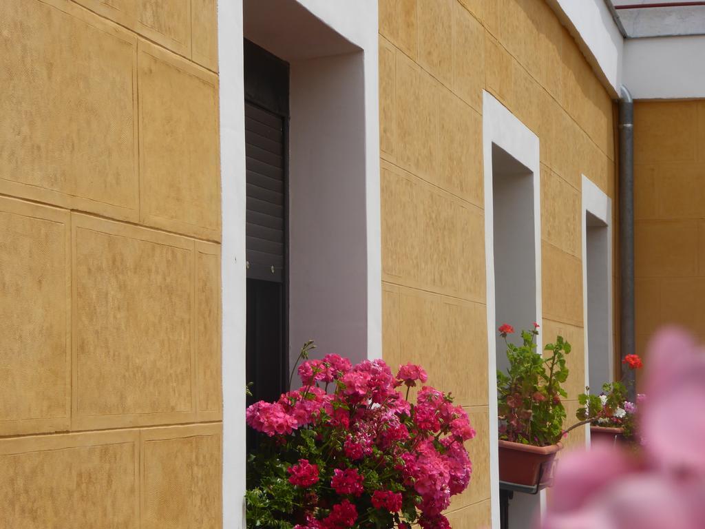 Hostal Huespedes Toledo Madrid Ngoại thất bức ảnh